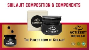Shilajit Composition and Components