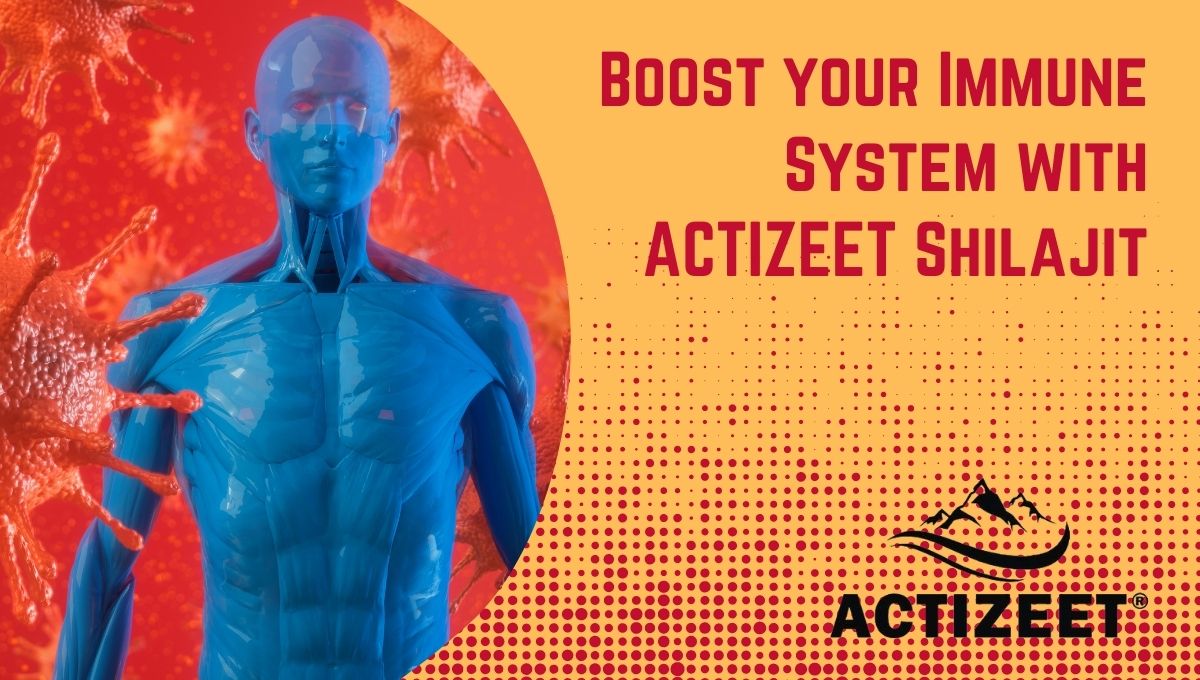 Boost your Immune System with actizeet Shilajit