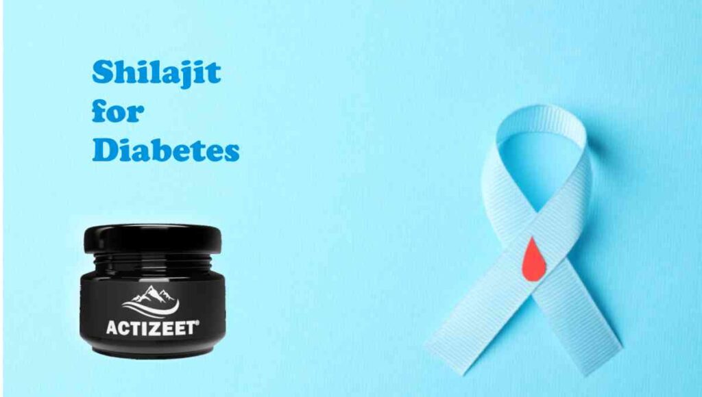 shialjit for diabetes