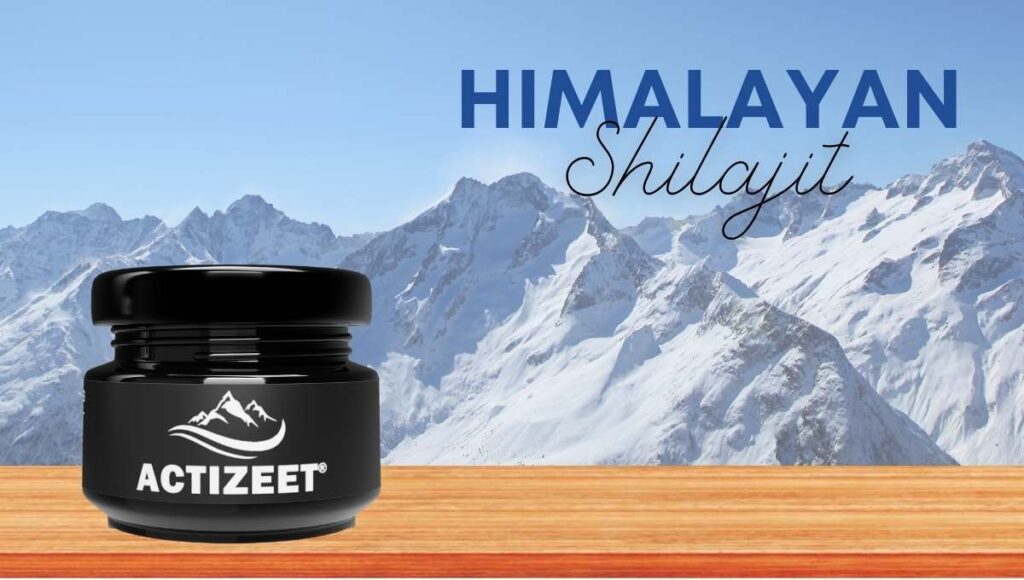 Himalayan Shilajit ACTIZEET 20 Grams 1