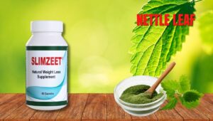 Nettle leaf for weight loss