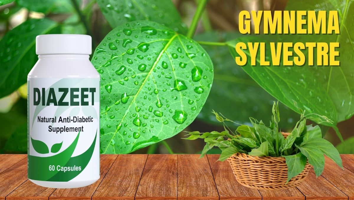 Gymnema Sylvestre for diabetes - Diazeet