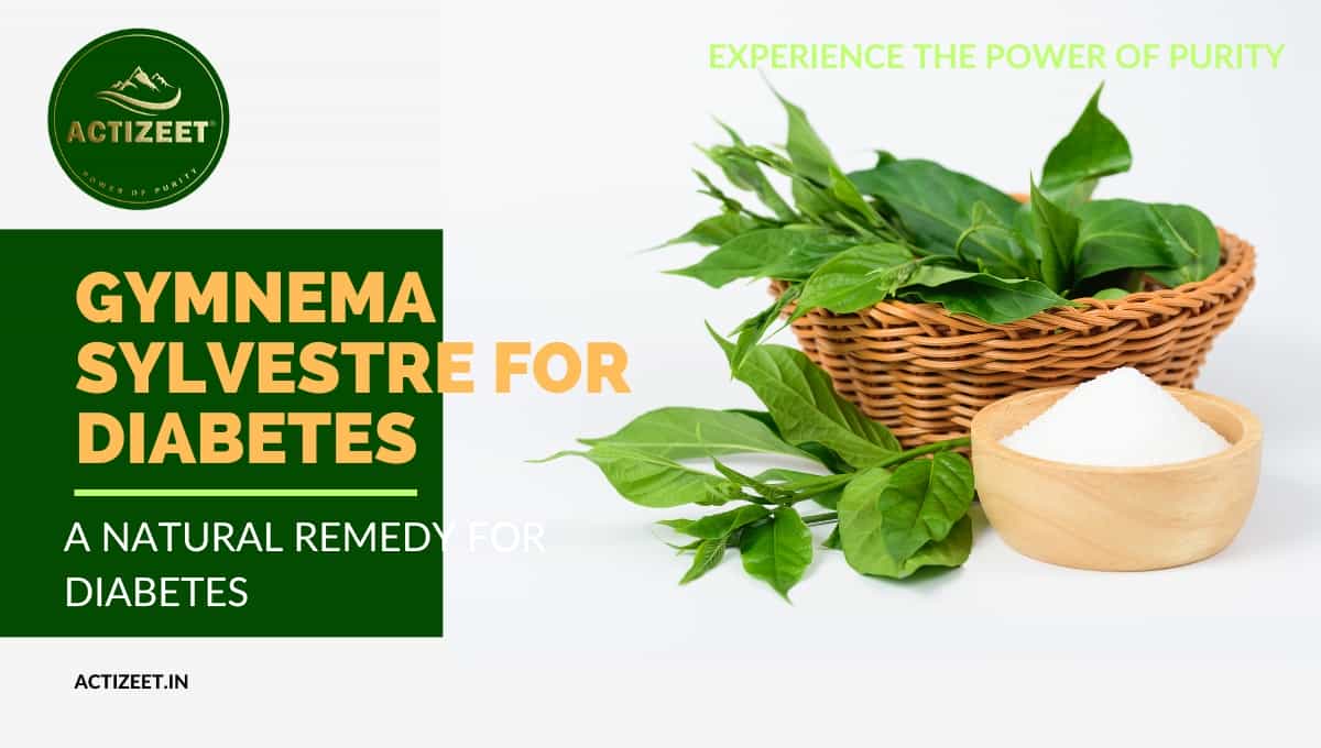 Gymnema Sylvestre for diabetes