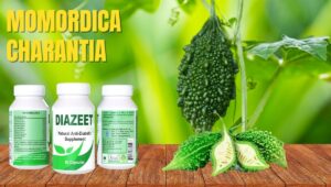 Momordica Charantia for Diabetes Diazeet