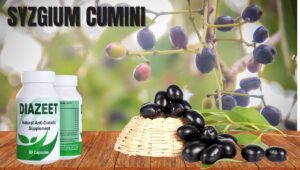 Syzgium Cumini For Diabetes
