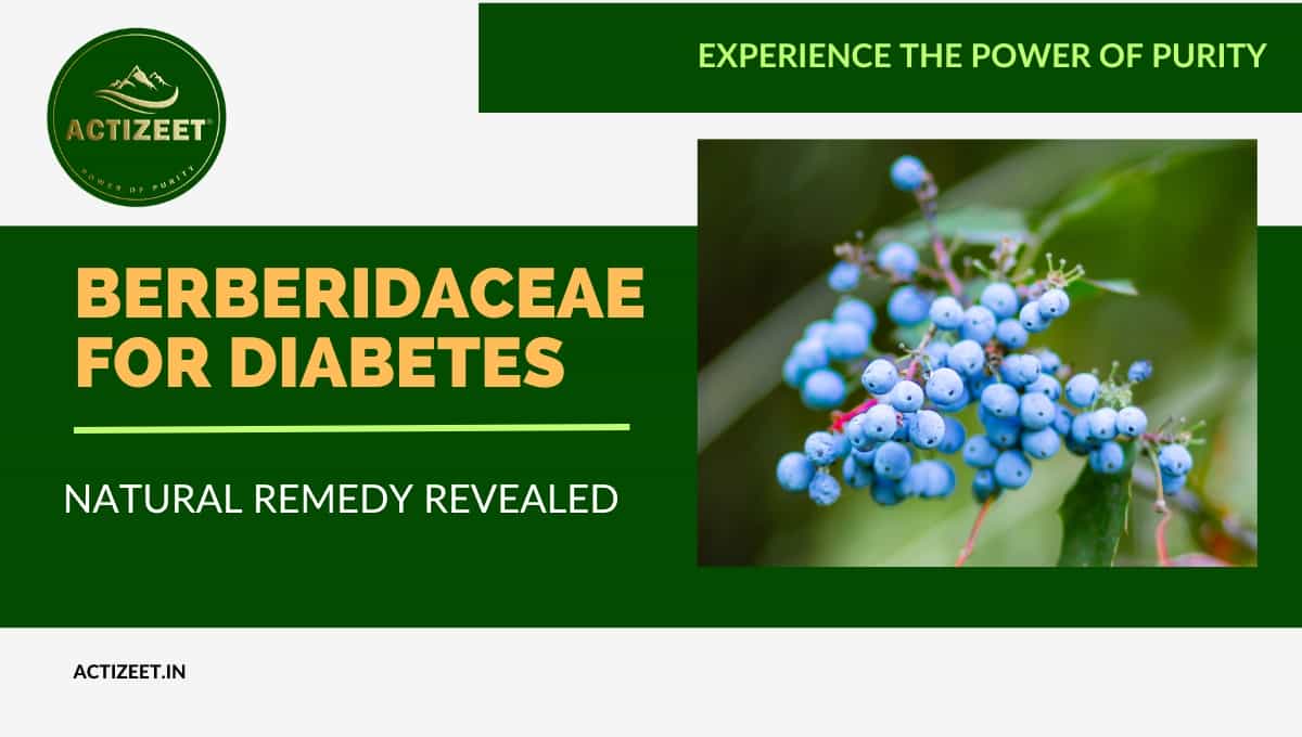 Berberidaceae For Diabetes