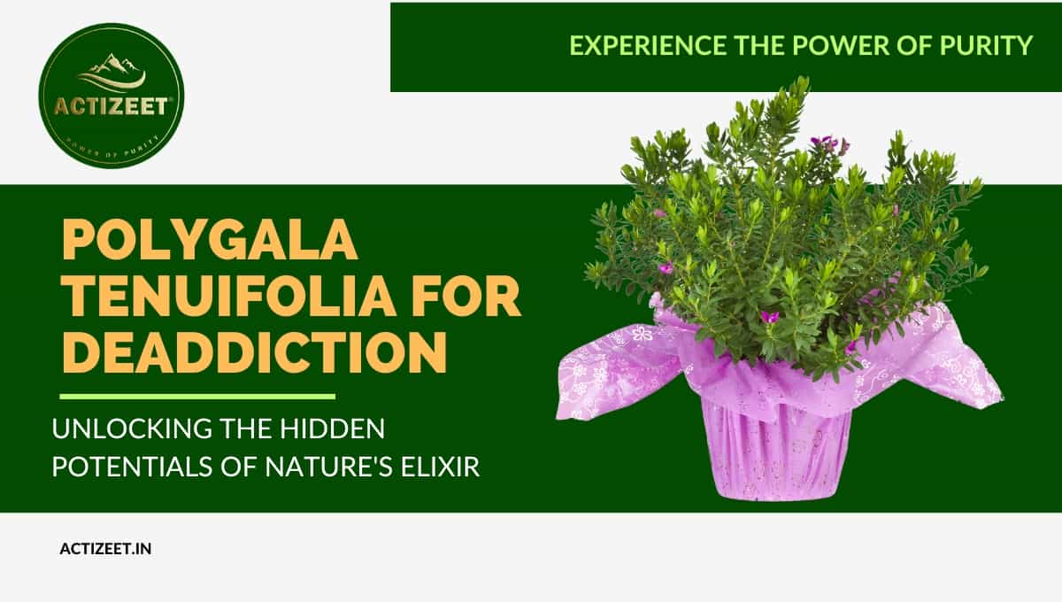 Polygala tenuifolia for Deaddiction
