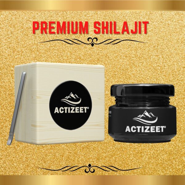 Premium Shilajit Actizeet best shilajit brand