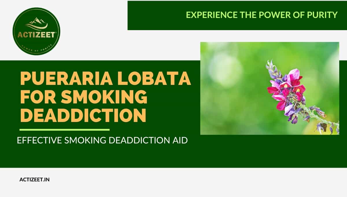 Pueraria lobata for Smoking Deaddiction