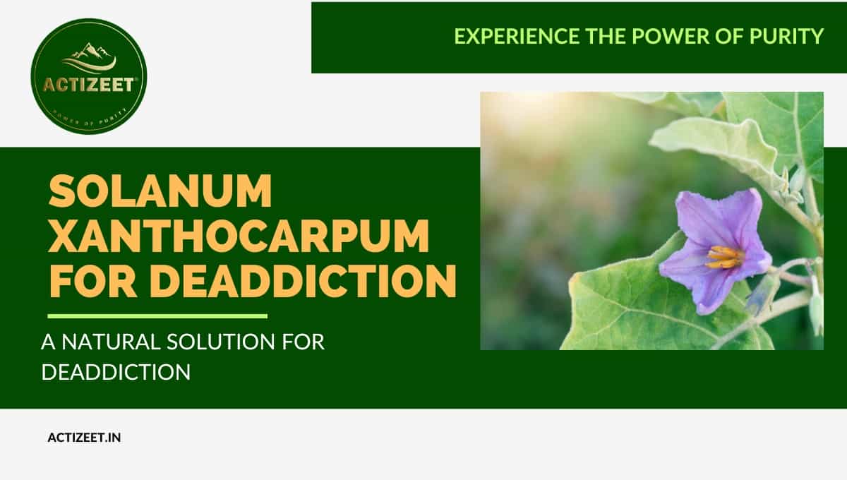 Solanum Xanthocarpum for Deaddiction