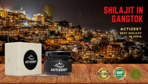 Shilajit in Gangtok (Sikkim)