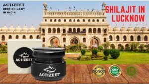 Shilajit in Lucknow (Uttar Pradesh)
