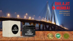 Shilajit in Mumbai (Maharashtra)