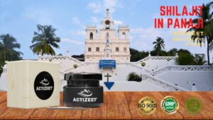 Shilajit in Panaji (Goa)