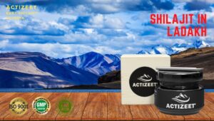 Shilajit in Ladakh