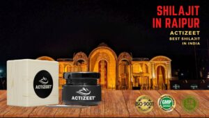 Shilajit in Raipur (Chhattisgarh)