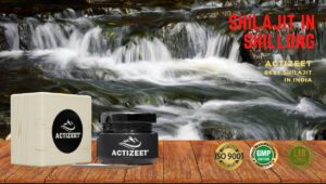 Shilajit in Shillong (Meghalaya)