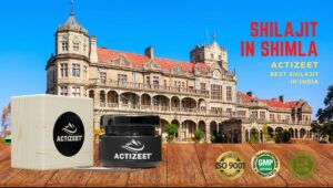 Shilajit in Shimla (Himachal Pradesh)