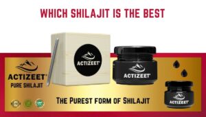 Which Shilajit Is The Best