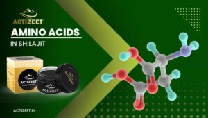 Amino Acids in Shilajit