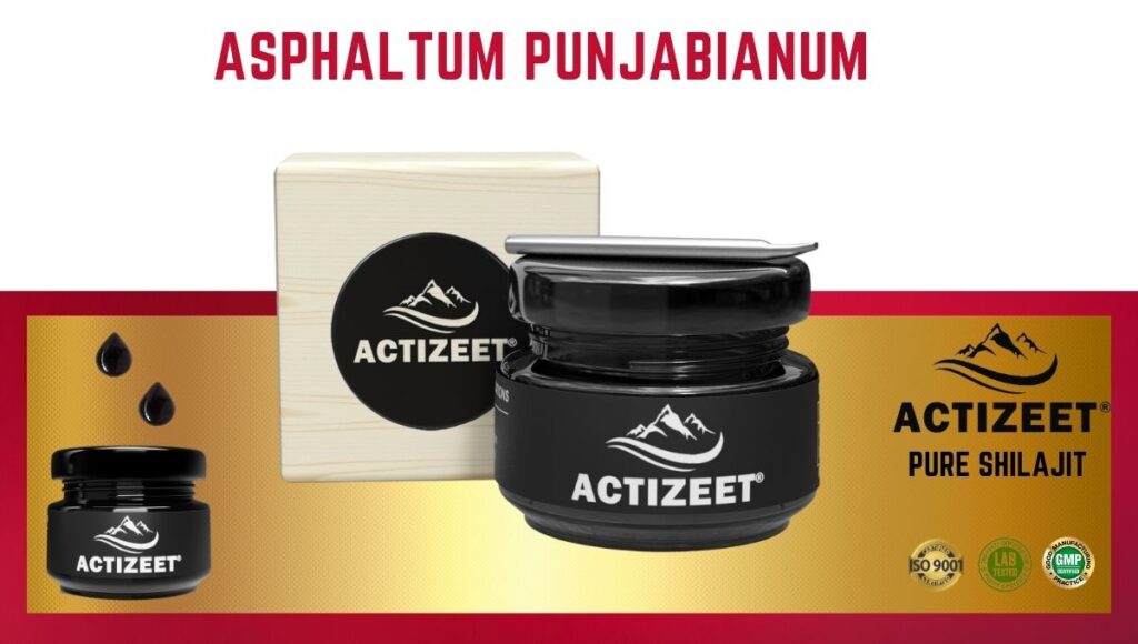 Asphaltum punjabianum