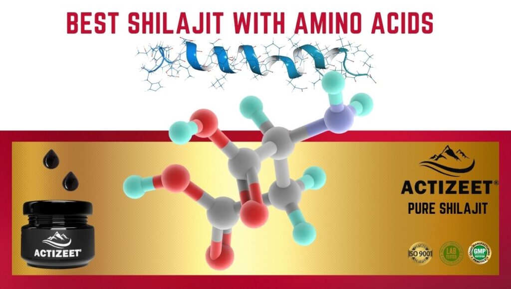 Best shilajit with amino acids