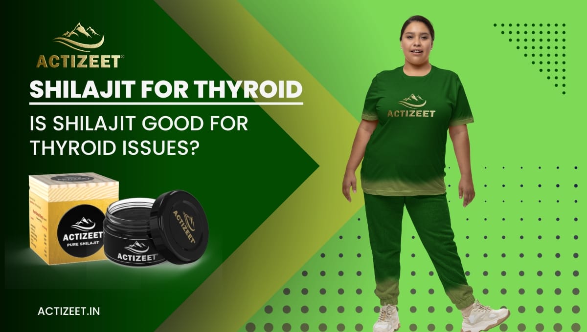 Shilajit For Thyroid