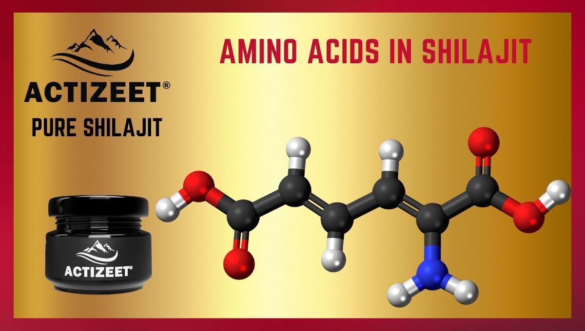 amino acids in shilajit