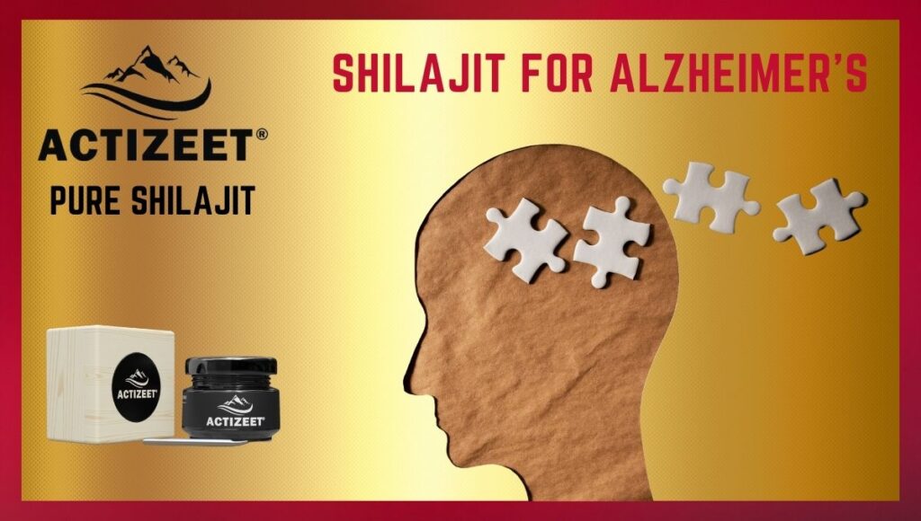 Actizeet shilajit for Alzheimer