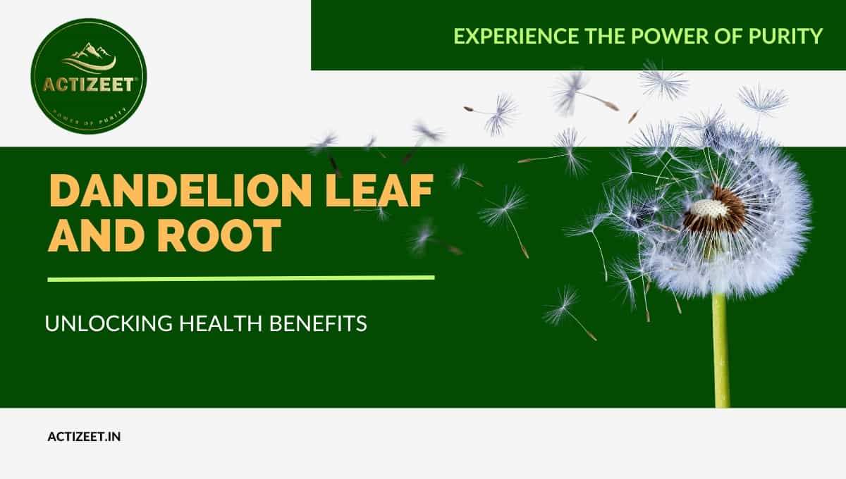 Health Benefits of Dandelion Leaf and Root