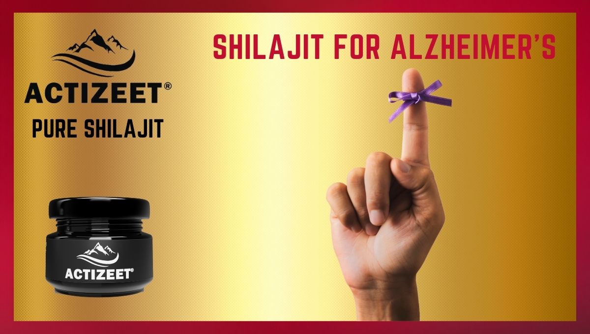 shilajit for Alzheimer