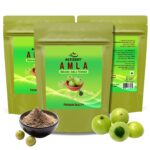 Actizeet Amla organic Amla Powder Pack of 3