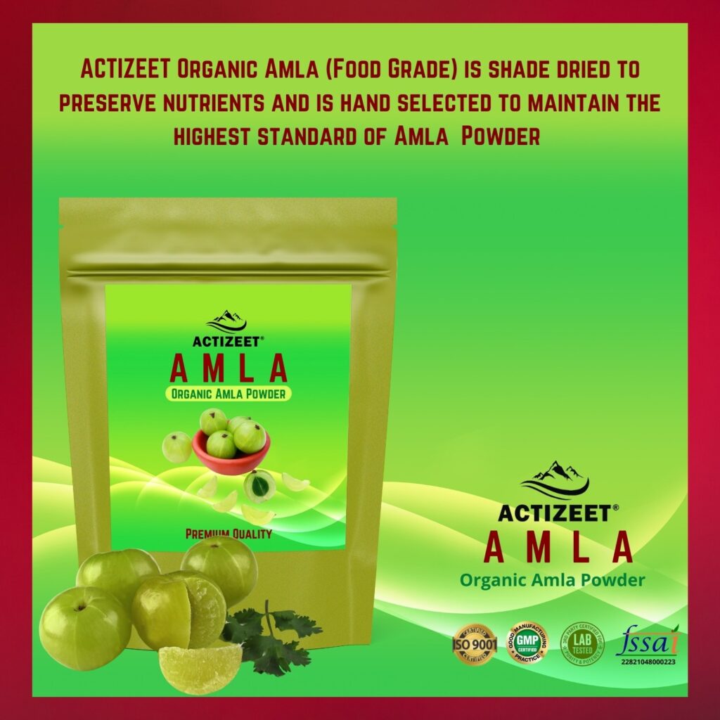 Actizeet organic Amla benefits