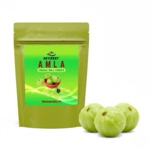ACTIZEET Amla Powder 100 grams