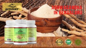 Ashwagandha in Bangalore Bengaluru (Karnataka)