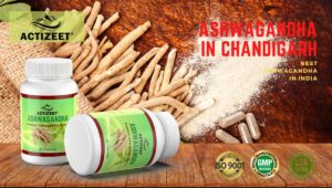 Ashwagandha in Chandigarh (Haryana)