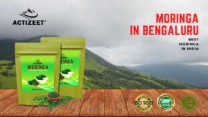 Moringa Powder in Bangalore Bengaluru (Karnataka)