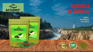 Moringa Powder in Bhopal (Madhya Pradesh)