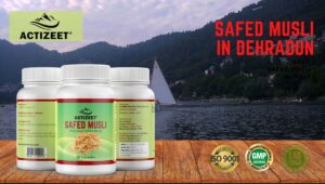 Safed Musli in Dehradun (Uttarakhand)