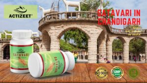 Shatavari in Chandigarh (Haryana)