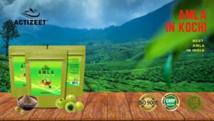 Amla Powder in Kochi (Kerala)