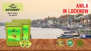 Amla Powder in Lucknow (Uttar Pradesh)