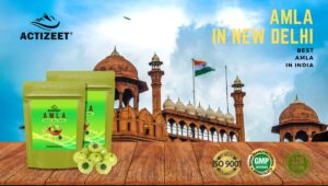 Amla Powder in New Delhi