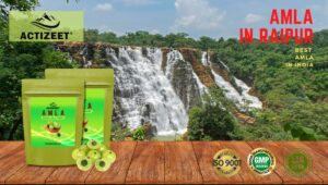Amla Powder in Raipur (Chhattisgarh)