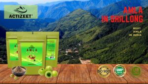 Amla Powder in Shillong (Meghalaya)