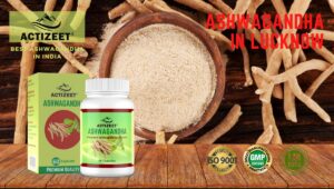 Ashwagandha in Lucknow (Uttar Pradesh)