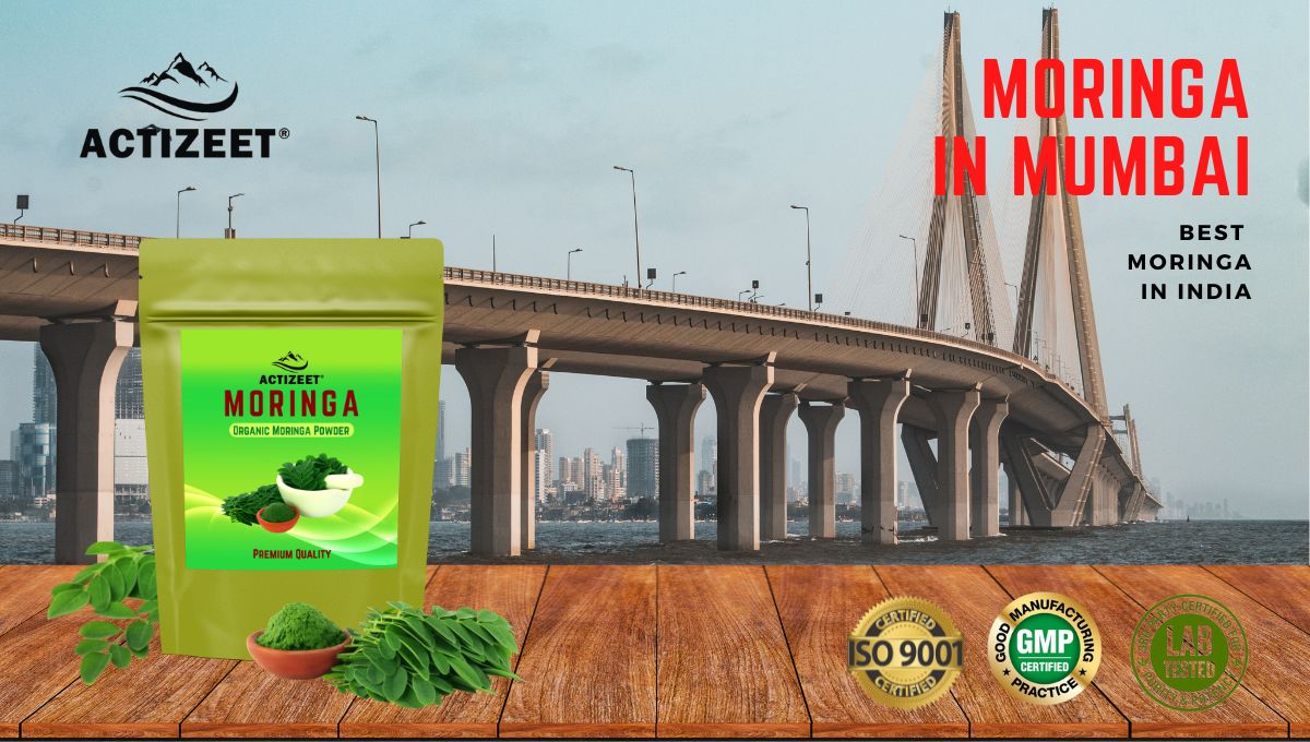 Moringa Powder in Mumbai (Maharashtra)