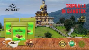 Triphala Powder in Gangtok (Sikkim)