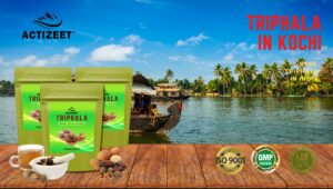 Triphala Powder in Kochi (Kerala)