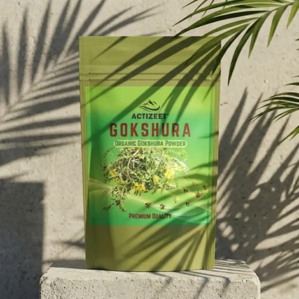 ACTIZEET Gokshura Powder for Libido and Vitality
